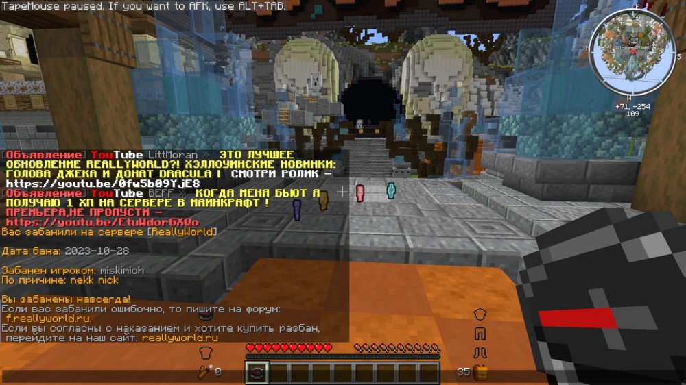image.thumb.png.d2939b97ecac0b3cf27ee0b00b662daf.png