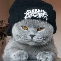 F0T1G