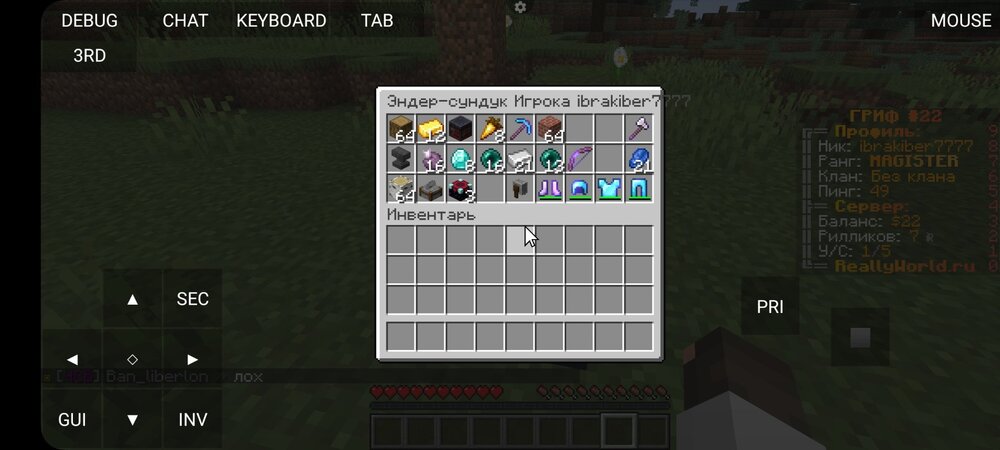 Screenshot_20231104_145409_PojavLauncher (Minecraft Java Edition for Android).jpg