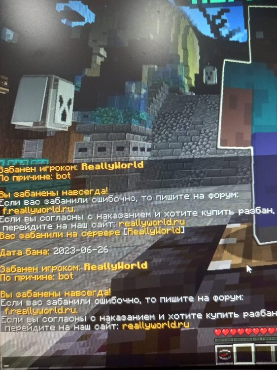 WhatsApp Image 2023-11-06 at 22.33.43.jpeg