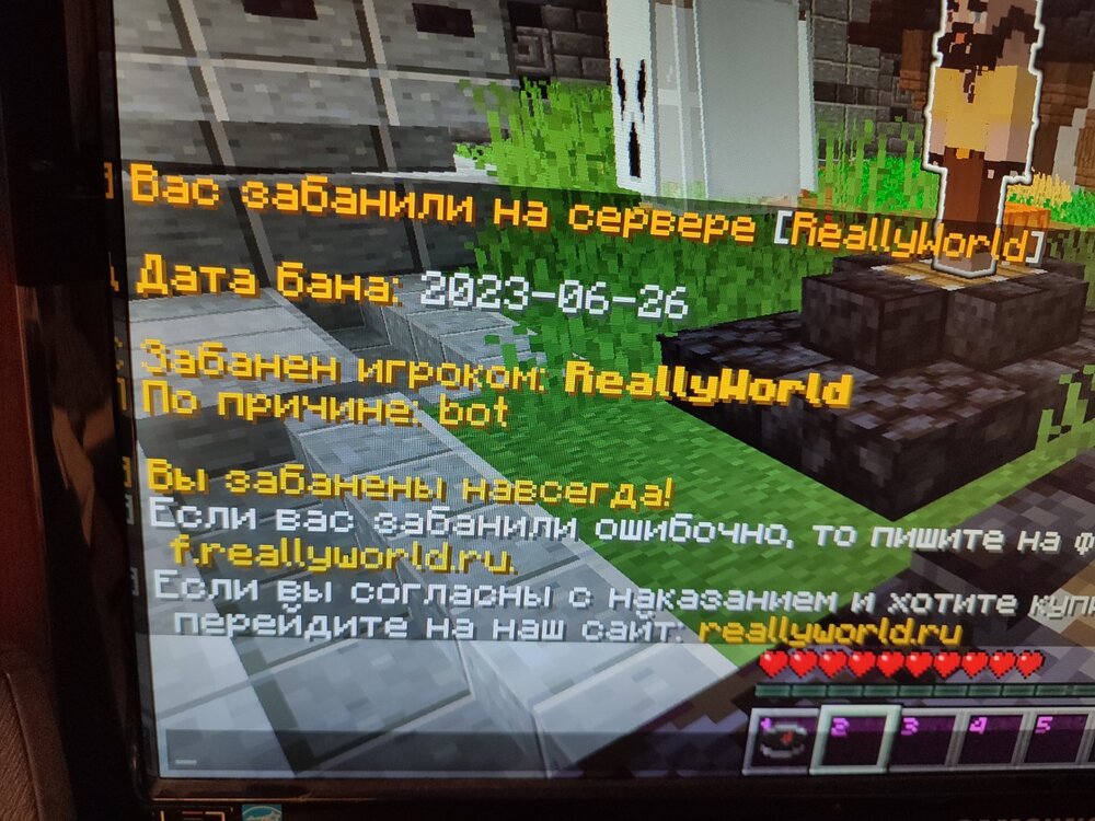 1699541318222..jpg