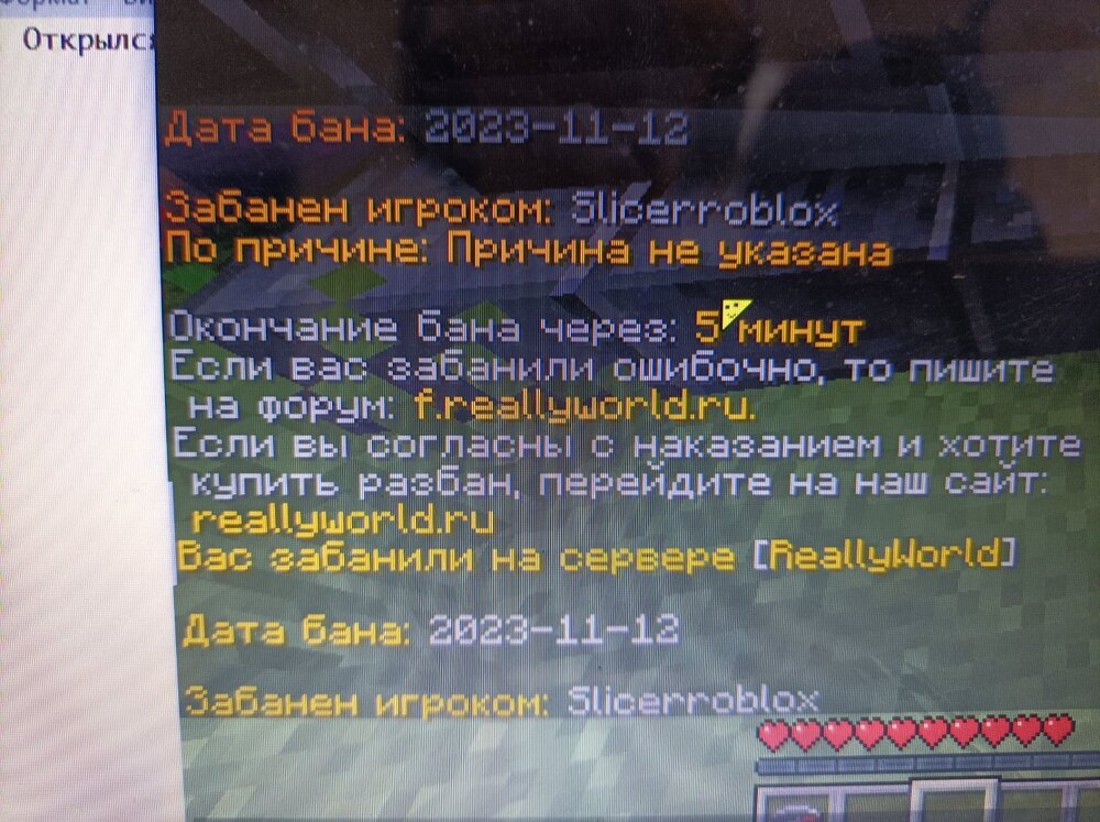 16997889867517753486482586385319.jpg