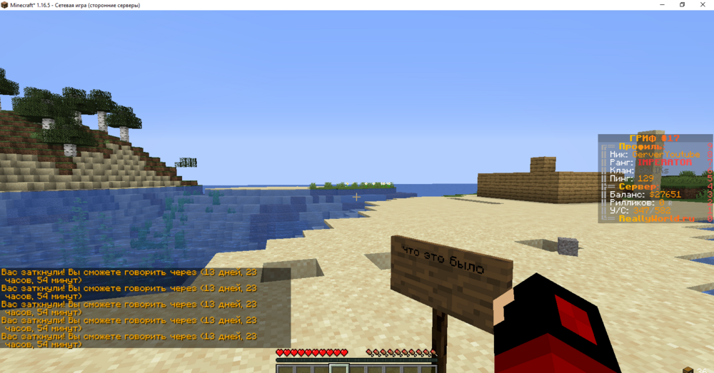 Minecraft_ 1.16.5 - Сетевая игра (сторонние серверы) 03.11.2023 13_48_13.png