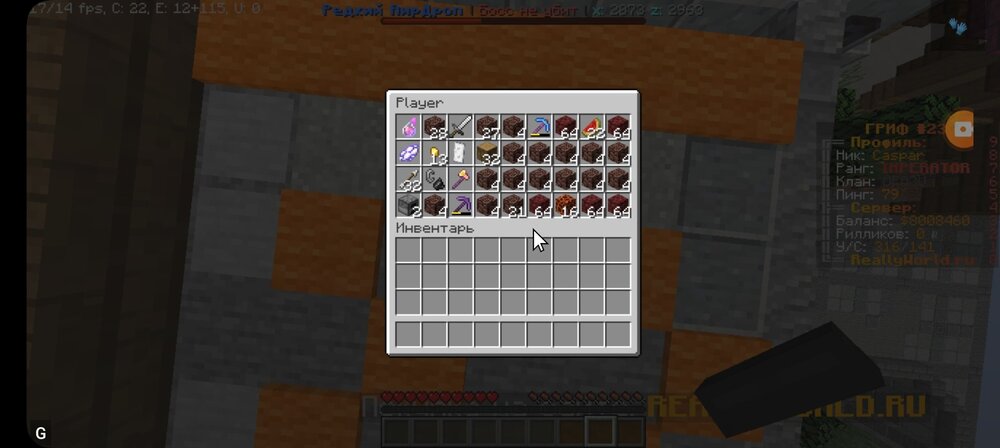 1982320587_Screenshot_20231128_110450_PojavLauncher(MinecraftJavaEditionforAndroid).thumb.jpg.7716d3efbe3f7cb005cd91b0f334d33f.jpg