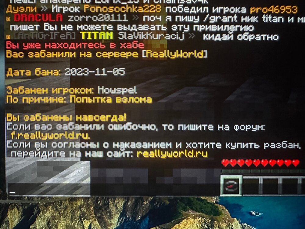 IMG_3065.jpeg