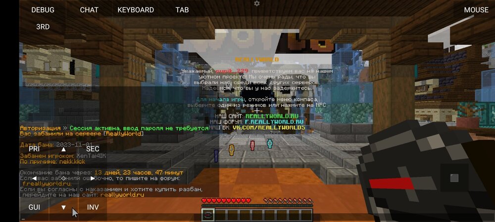 Screenshot_2023-11-01-21-23-33-320_net.kdt.pojavlaunch.jpg