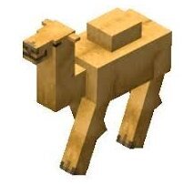 Camel_Bos
