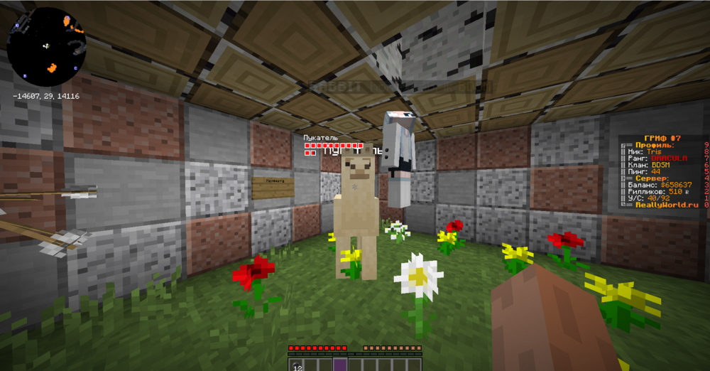 image (11).png
