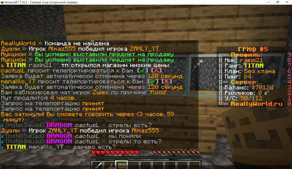 Minecraft__1.16.5_-___25.12.2023_14_28_55.png