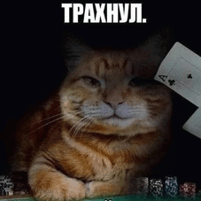 3lobnaya_Limfa