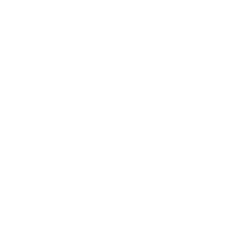 MrFlenty