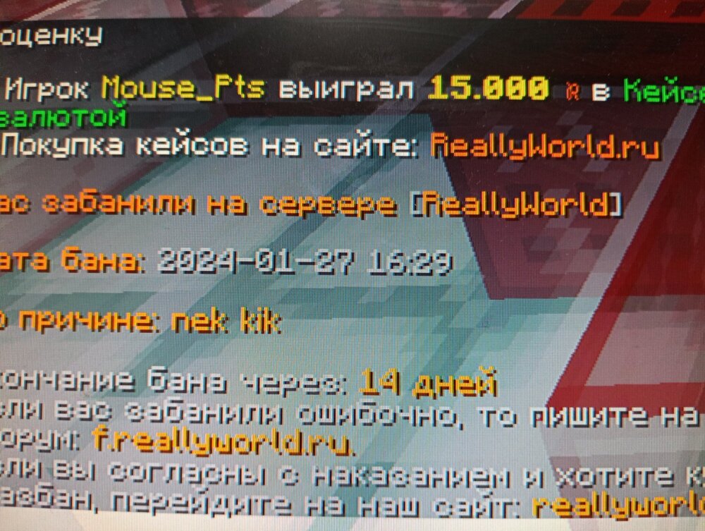 17063627642314726677501082934586.jpg