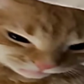 Dimiki