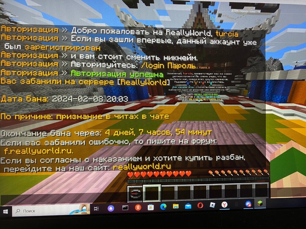 IMG_1537.thumb.jpeg.9ca847c8bcd97edf4e775a328d71e37c.jpeg