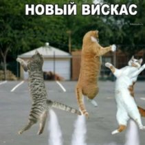 KESHA_HEGR