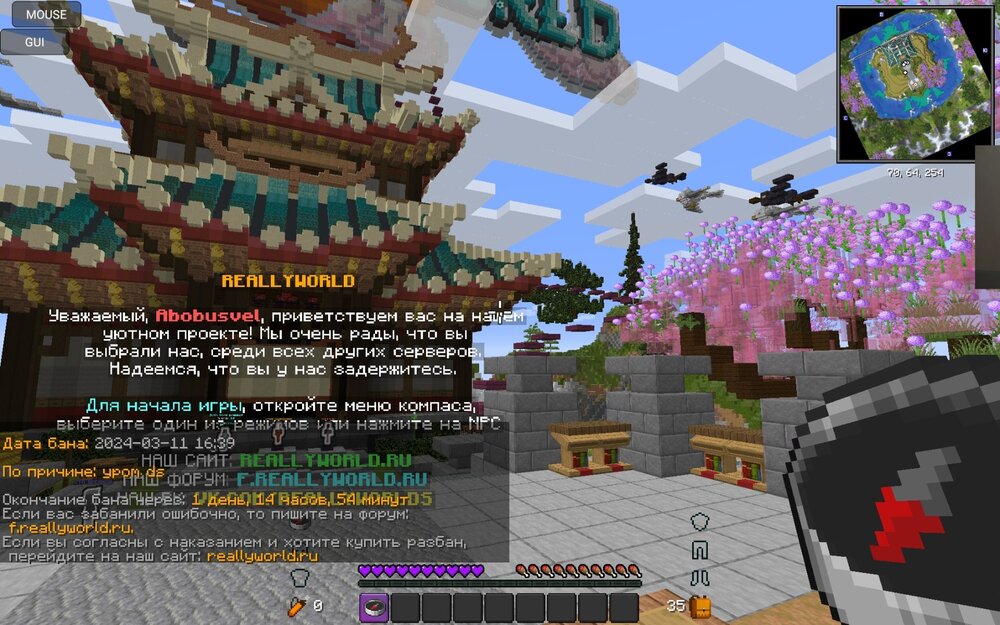 Screenshot_20240311_234528_PojavLauncher (Minecraft Java Edition for Android).jpg