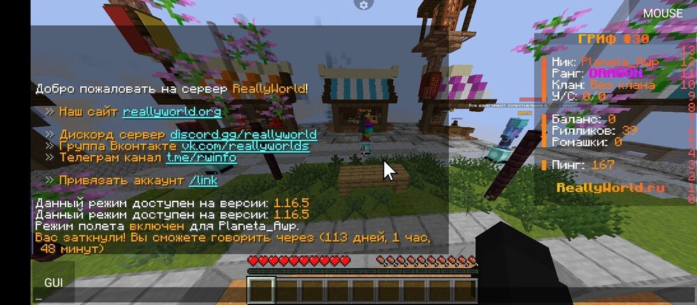 Screenshot_20240318-203852.jpg