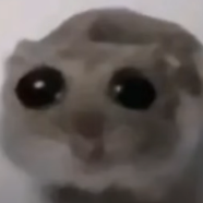 Akaris