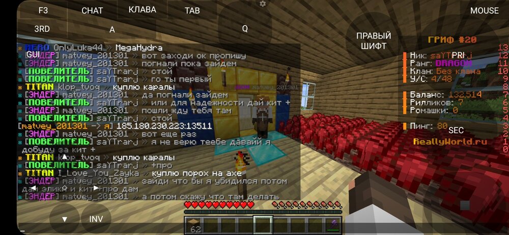 802219800_Screenshot_20240304_152712_PojavLauncher(MinecraftJavaEditionforAndroid).thumb.jpg.43d194891601acdddf90ca58305b3b39.jpg