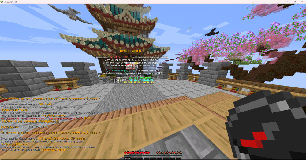 Minecraft 1.16.5 25.04.2024 20_49_23.png