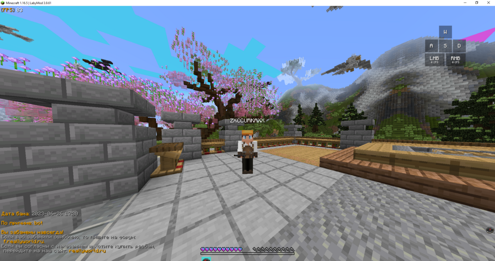 Minecraft_1_16.5___LabyMod_3.9.61_20_04.2024_12_21_52.thumb.png.7b8d4cf80dad62a869df1f77de2be460.png