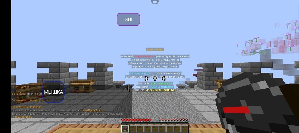 Screenshot_20240426-214503.jpg