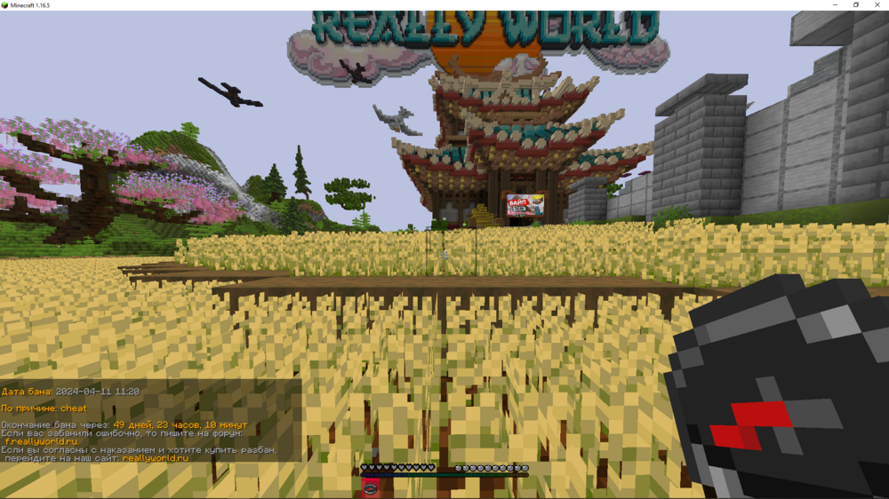 image.thumb.png.365fa2bd0581a4f8a3b7f1382991826f.png