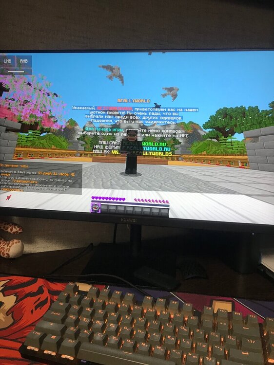 060866E6-5100-42DF-B2EC-79E9C16F30B6.thumb.jpeg.0cc80ef5028d8cd20e7facaa04d8d7e6.jpeg
