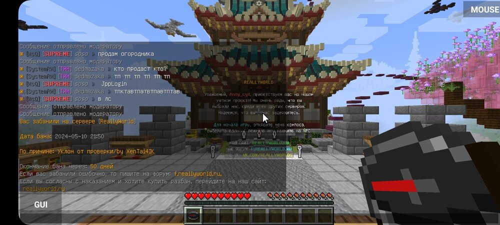 Screenshot_20240510_215023_PojavLauncher (Minecraft Java Edition for Android).jpg