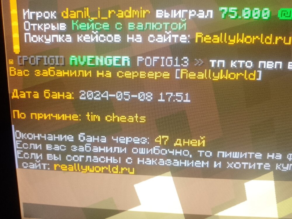 17151807561781180986431558015687.jpg