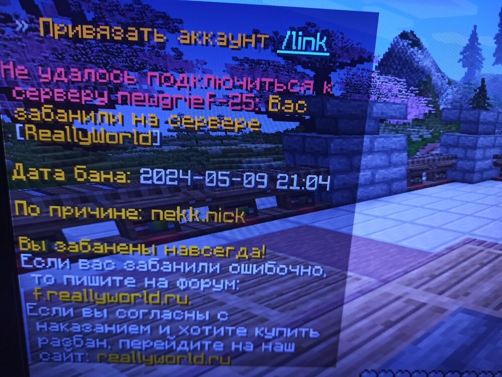 1715278796083307277479697770233.jpg