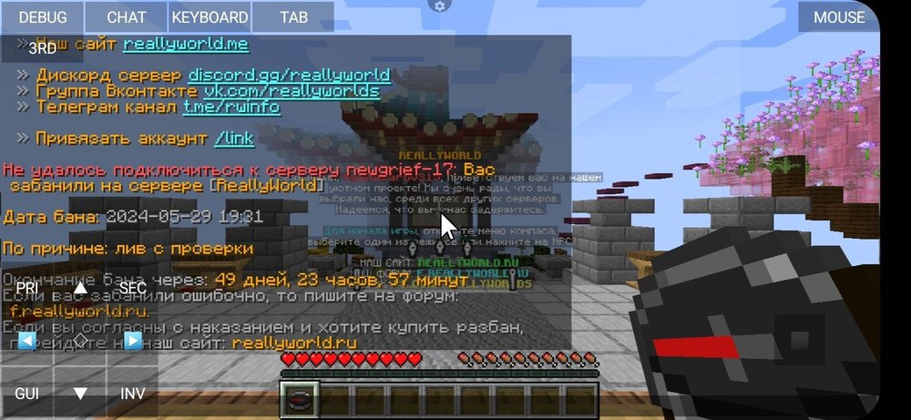 1868271823_Screenshot_20240529-203359_PojavLauncher(MinecraftJavaEditionforAndroid).thumb.jpg.0be3b49c4bae0044e55da06640023446.jpg