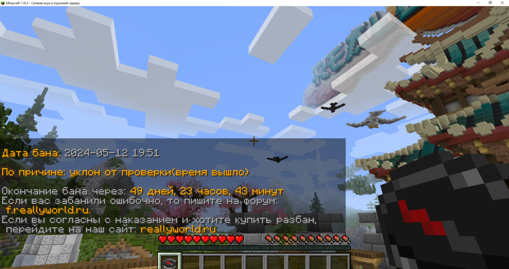 Minecraft 1.16.5 - Сетевая игра (сторонний сервер) 12.05.2024 20_08_21.png