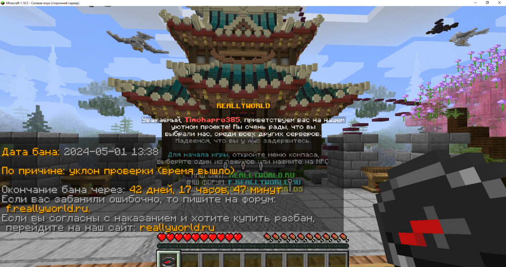 Minecraft 1.16.5 - Сетевая игра (сторонний сервер) 08.05.2024 19_50_37.png