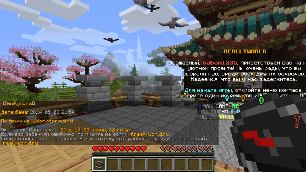 Minecraft_ 1.16.5 - Сетевая игра (сторонний сервер) 18.05.2024 23_18_24.png