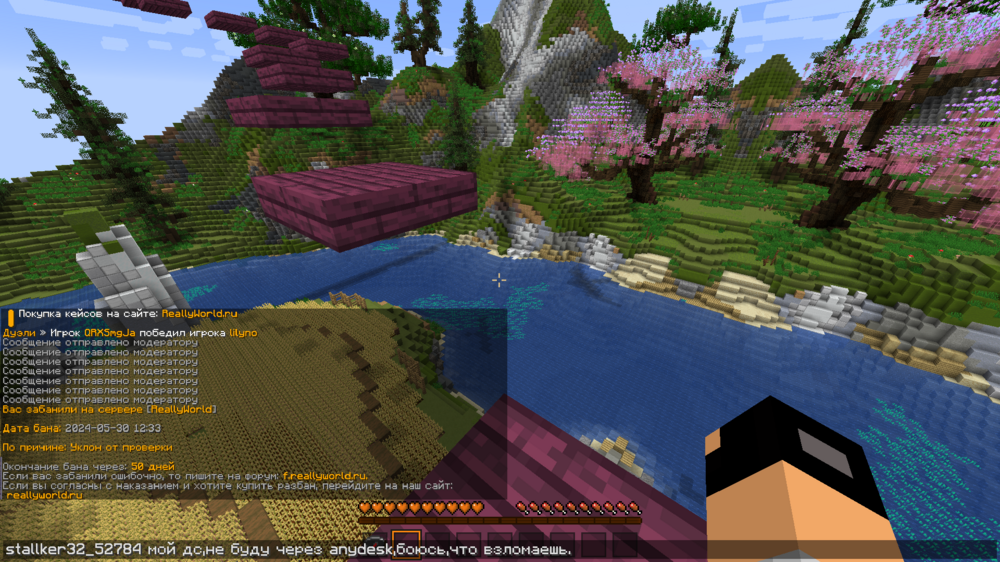 868906190_Jre-legacyScreenshot2024_05.30-12_33_54_19.png