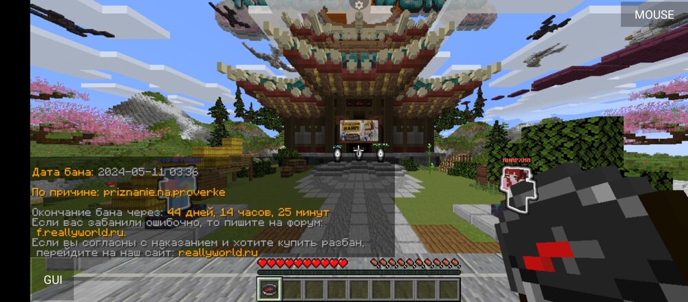 Screenshot_20240512-181107[1].jpg