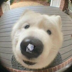 belug1n_offic1al
