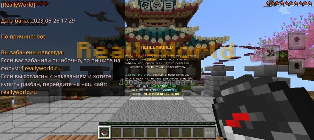 Screenshot_20240521-111119.jpg