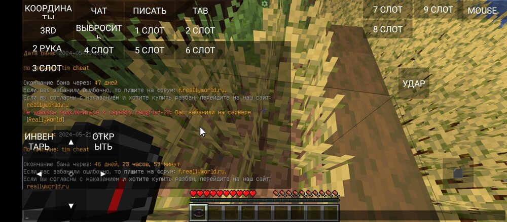 Screenshot_20240521-222311.jpg