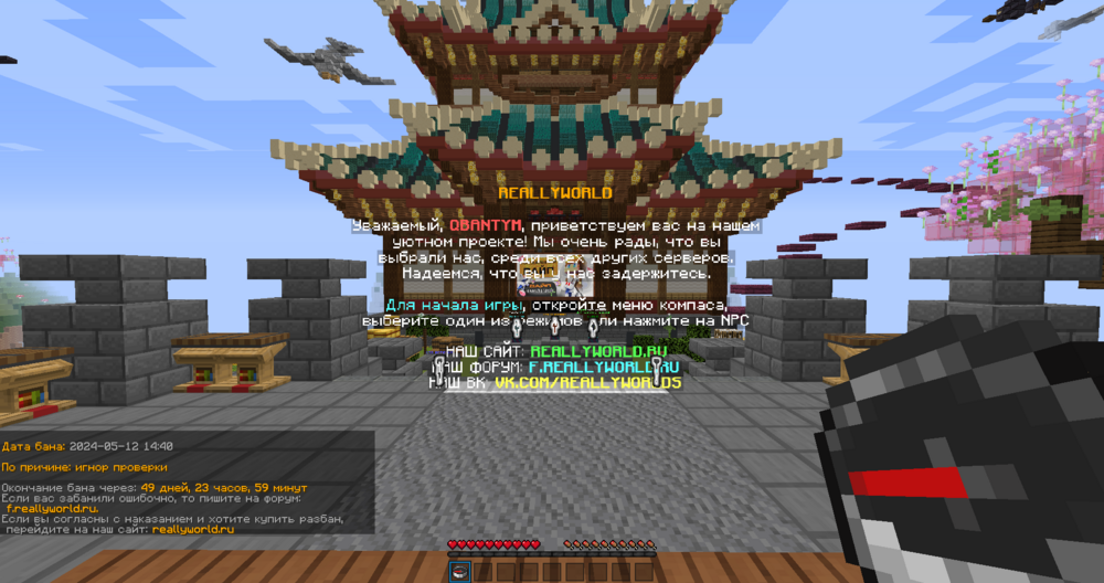 image-2.png