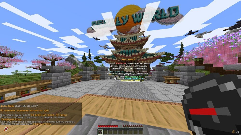 image.thumb.jpeg.e280063df30a3c4a463d61dd0b5453e1.jpeg