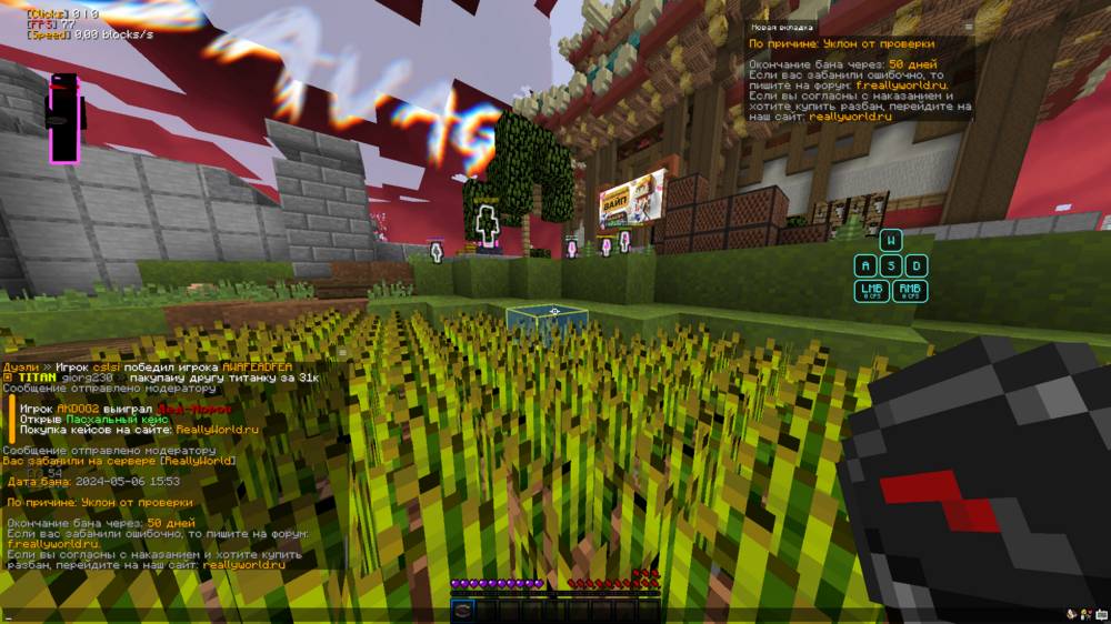 image.thumb.png.3806831bd0e8b803cd169bc836f70a47.png