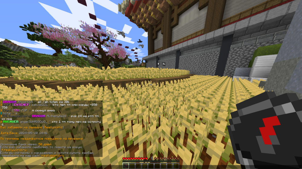 image.thumb.png.8d3031bf5a3b6aed8480da075452de27.png