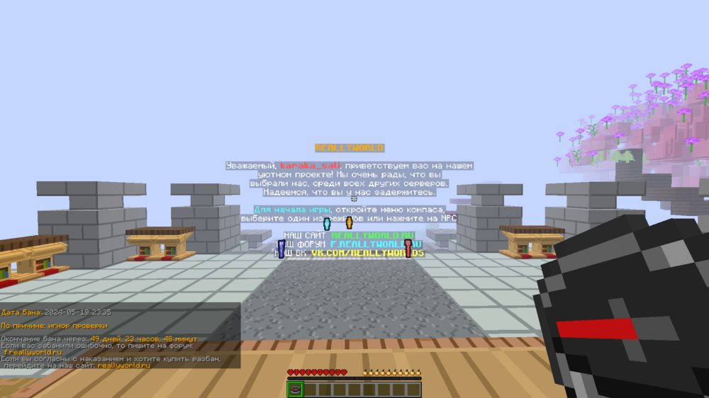 image.thumb.png.9c22a0429414aa7edf6b43cbc232cc15.png