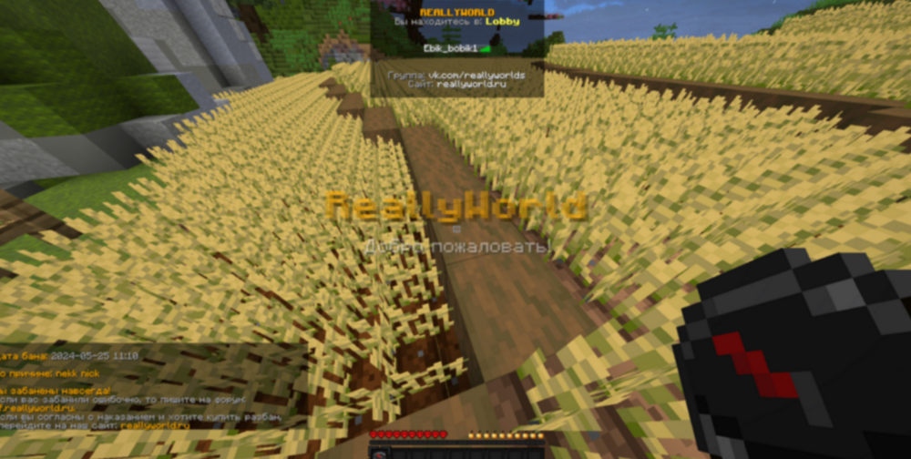 image.thumb.png.ba414906016ddbf0234cdcd32b010973.png