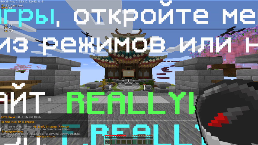 image.thumb.png.e77fc58448e83da575e91571bee8277d.png