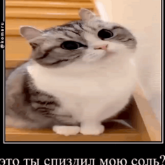 reallyban