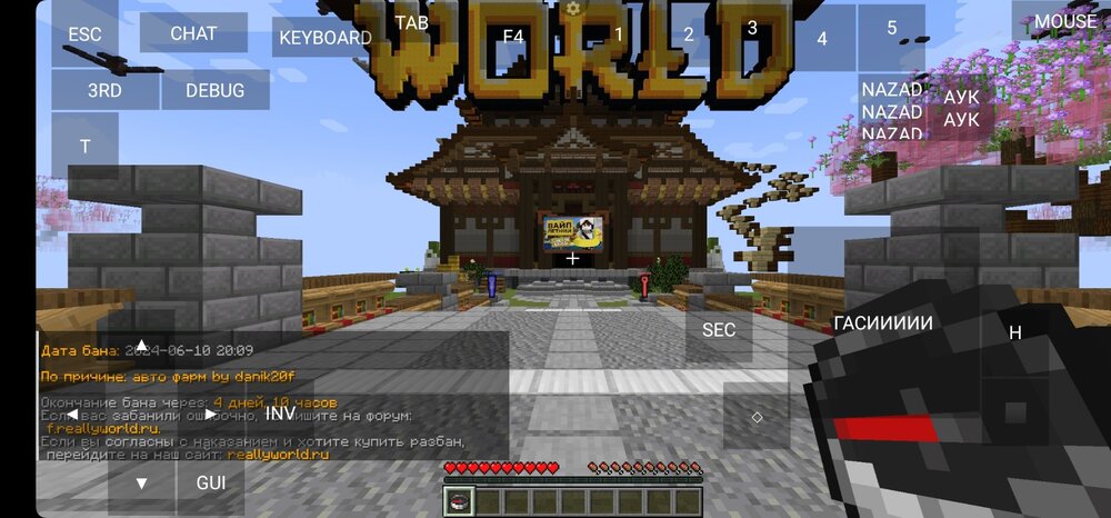 Screenshot_20240611_110909_PojavLauncher (Minecraft Java Edition for Android).jpg