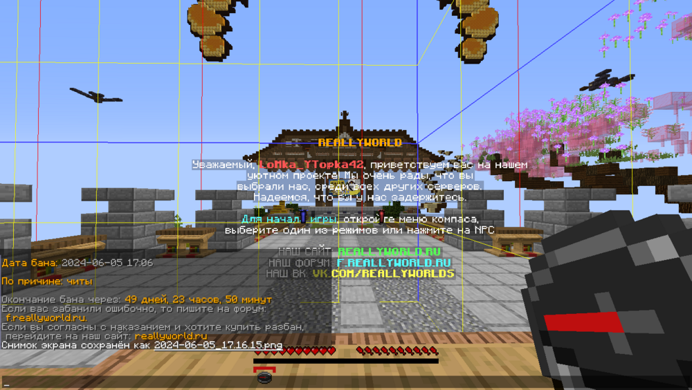 2024-06-05_17.17.44.png